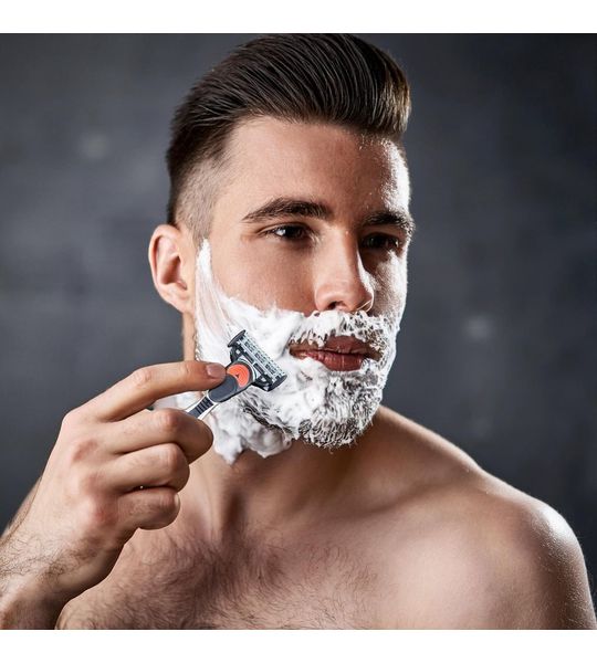 | Scheermes | 5 Blades | 4 Razors | Stainless steel |