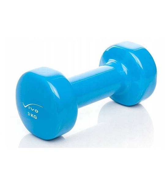 Gietijzeren halter vinyl gewicht 3kg