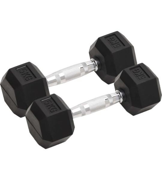 vidaXL-Halters-2-st-10-kg-gietijzer