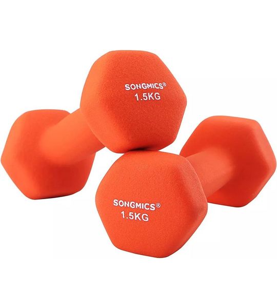 In And OutdoorMatch Halterset Talia - Halterset - Gewichten - 2x1kg - Vinyl