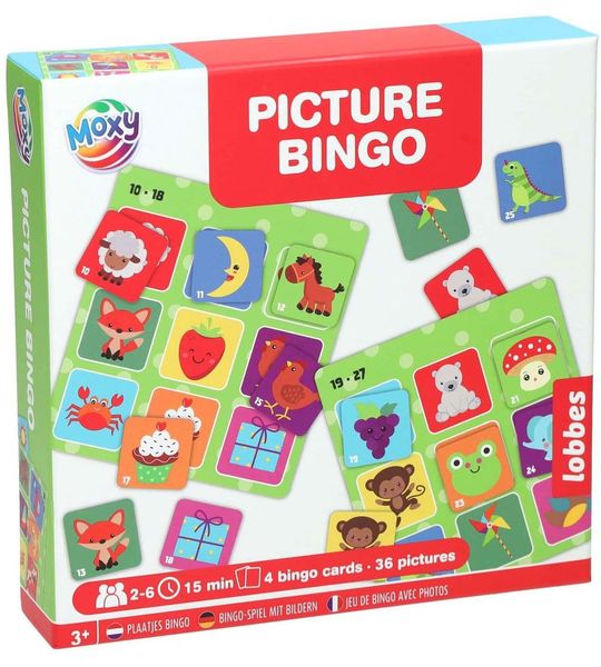 Lobbes Plaatjes Bingo