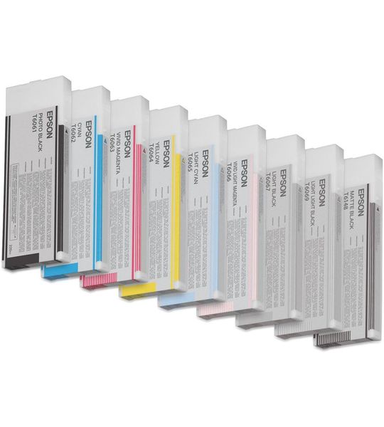 Epson T6067 licht zwart