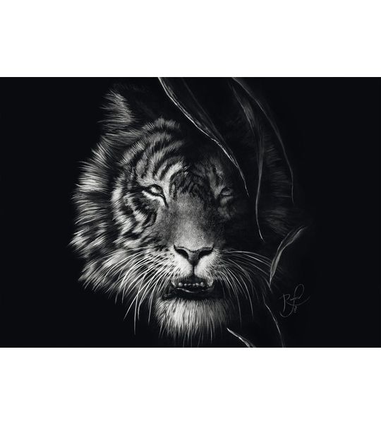 Ashley Rader Tiger, 1000 stukjes - Puzzel