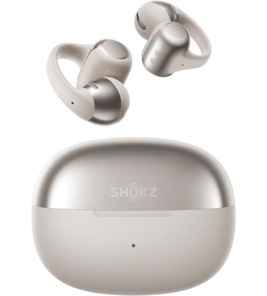 Shokz OpenDots ONE Zilver