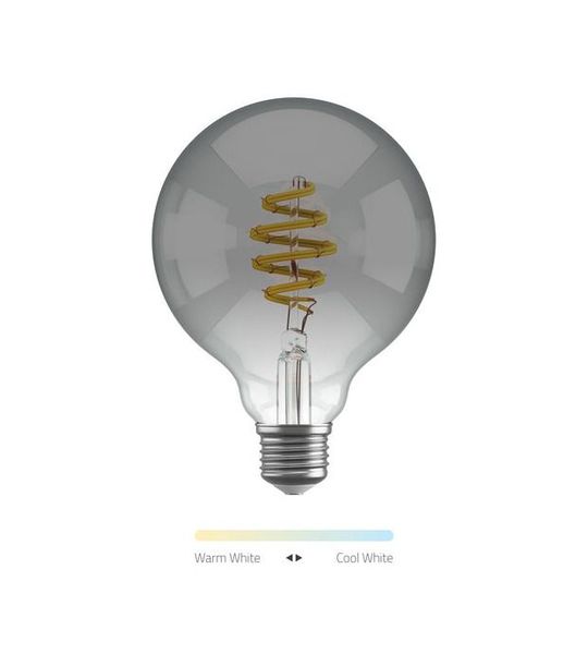 Hombli Filament Bulb CCT E27 G95-Smokey