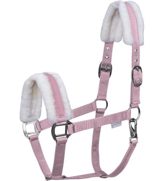 Eerste Halster - Bijna Uitverkocht! | Full