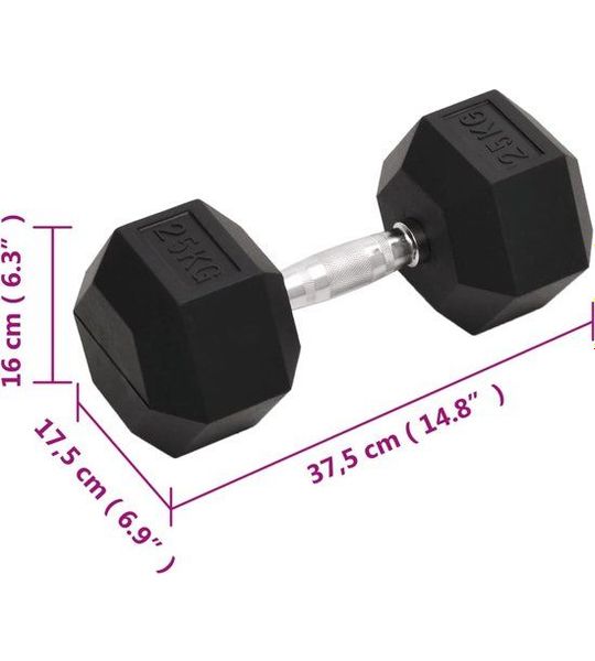 vidaXL-Halters-25-kg-gietijzer