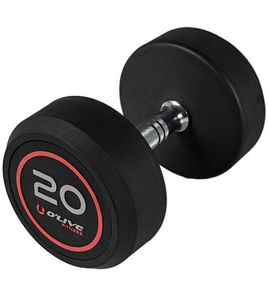 Olive Professionele Dumbbell 20 Kg Zilver