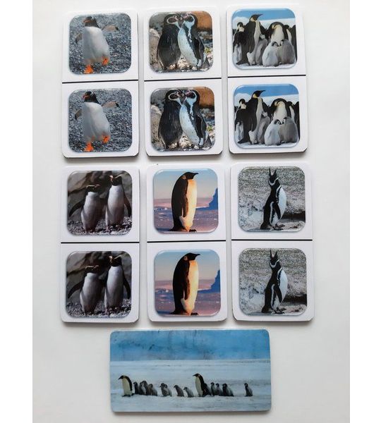 Denkspel voor mensen met dementie FotoDomino Pinguins
