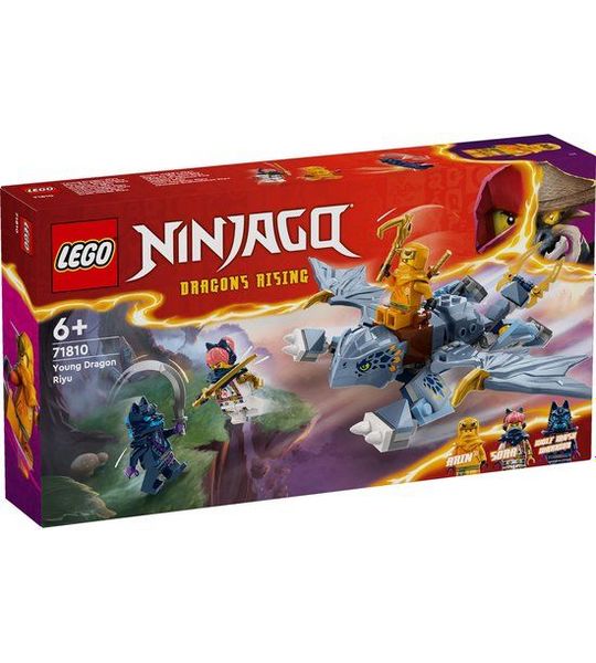 LEGO Ninjago Jonge draak Riyu - 71810