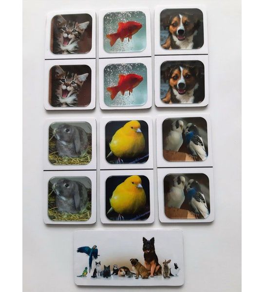 Denkspel voor mensen met dementie FotoDomino Huisdieren