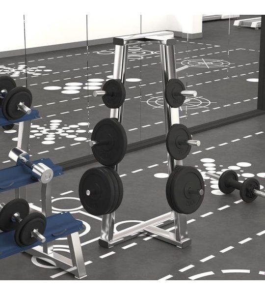 vidaXL Halterschijf 40kg - Gietijzer - Zwart