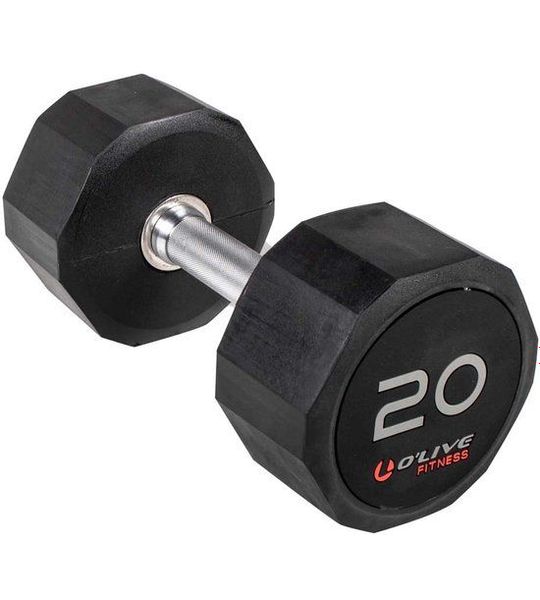 Olive Rubber Pro-style 20kg Dumbbell Zilver 20 kg