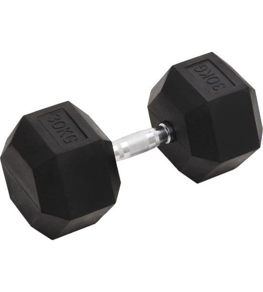 vidaXL-Halters-30-kg-gietijzer