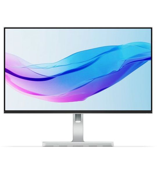 Lenovo L24m-4A (67BDUAC6EU) Monitor