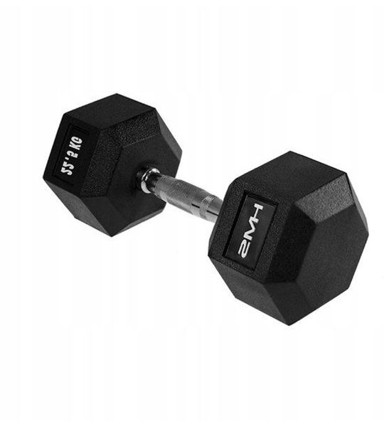 HMS Hex Pro Halter 22,5 kg - Gecoat Staal voor Krachttraining