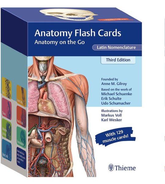 Anatomy Flash Cards, Latin Nomenclature