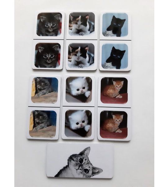 Denkspel voor mensen met dementie FotoDomino Kittens