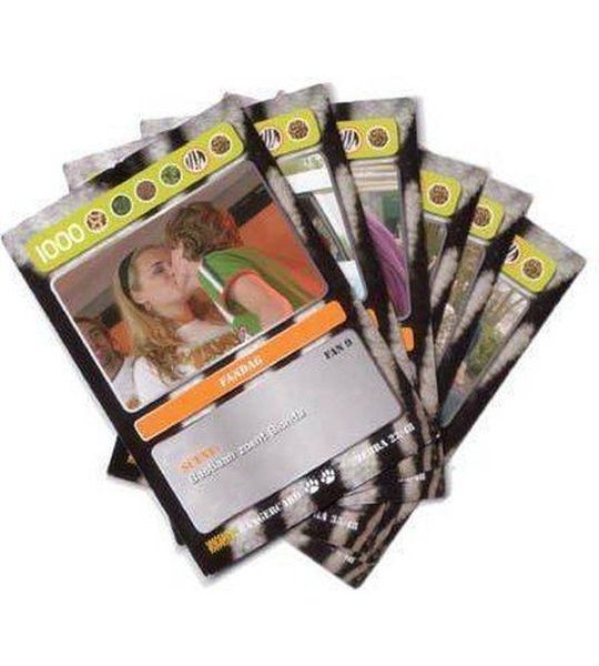 Zoop Ranger Cards Zebra