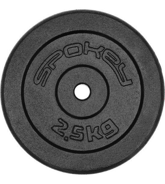 Spokey SINIS Haltergewicht - Gietijzer - 2.5 kg - 28 mm
