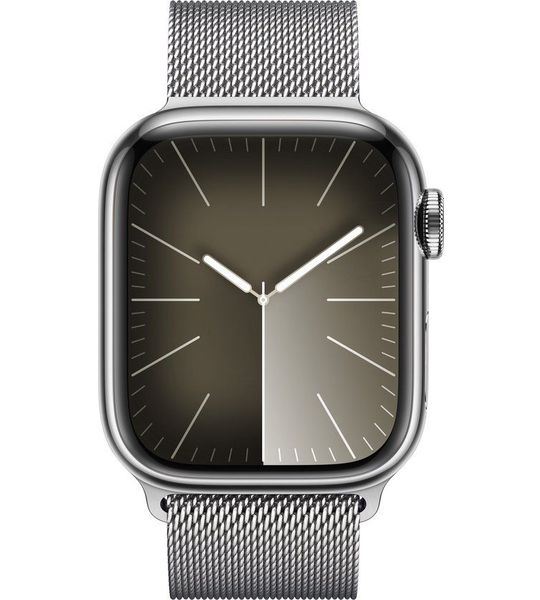 Apple 41 Mm Silver Milanees Bandje
